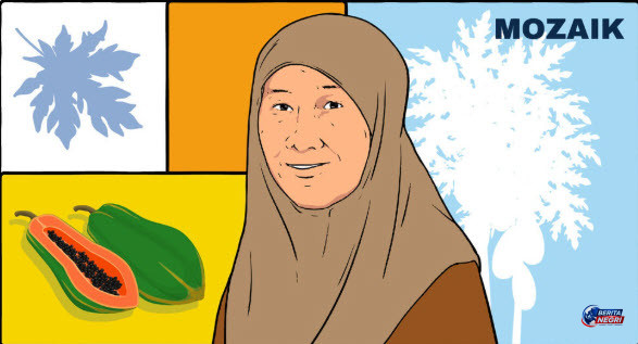 Di Balik Manisnya Pepaya California: Kisah Perjuangan Prof. Sriani Sujiprihati yang Terlupakan