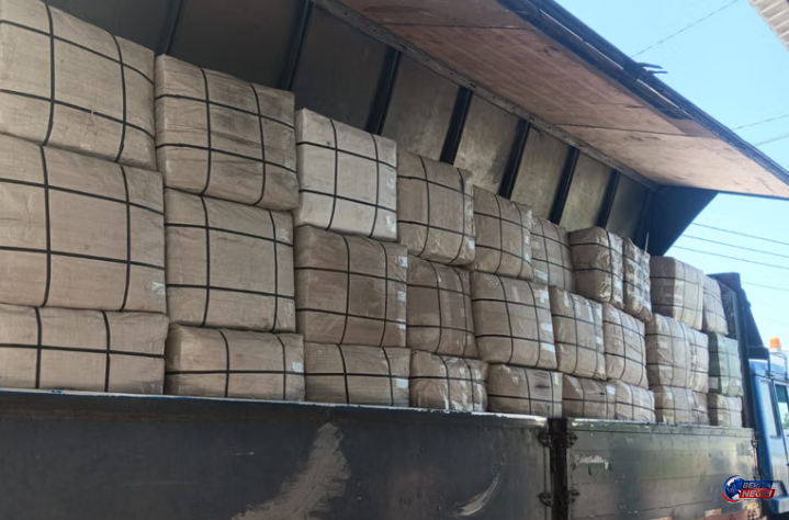 BNN Gagalkan Penyelundupan 3,37 Ton Ganja Diduga dari Thailand, Libatkan Jaringan Lintas Negara