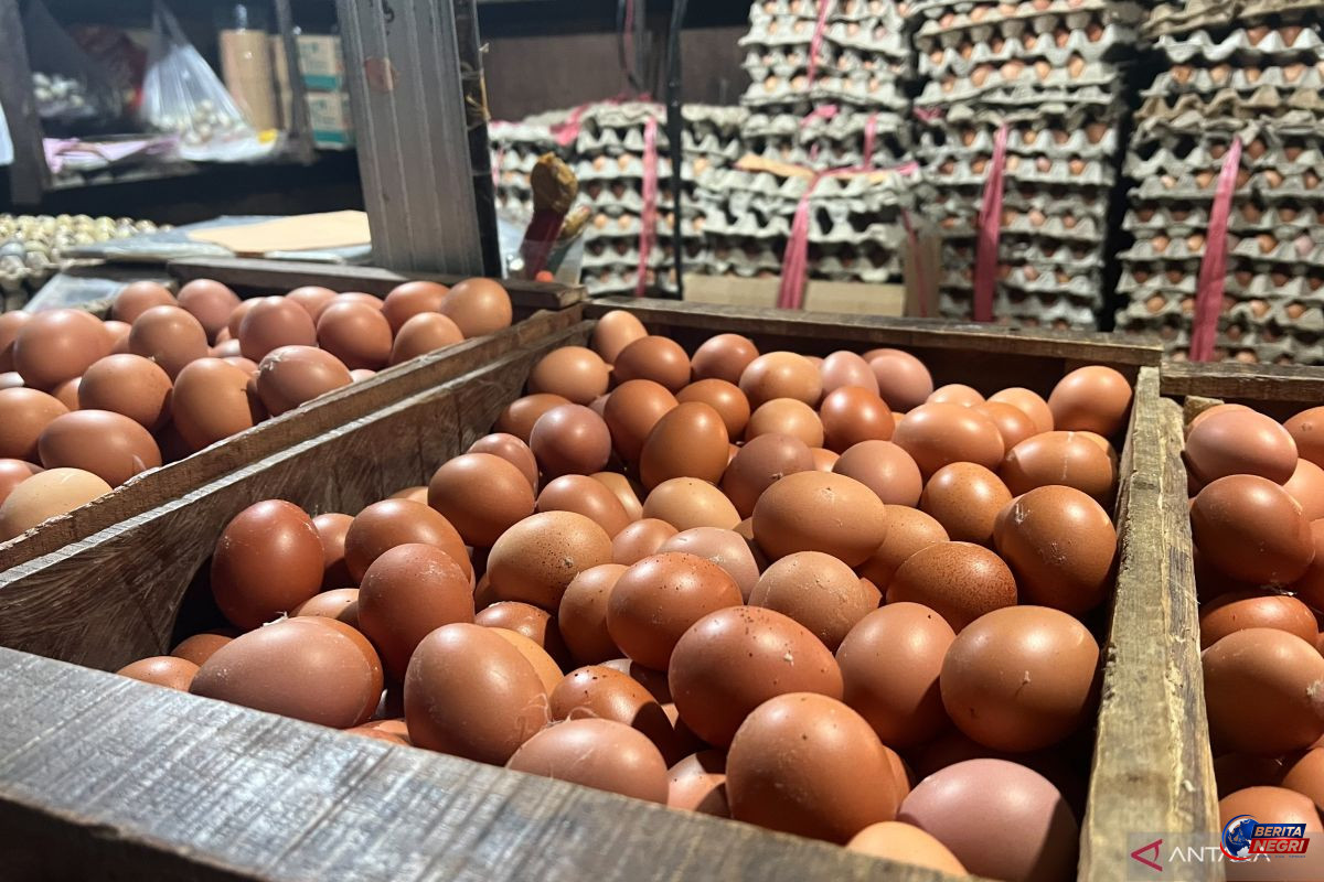 Harga Telur Naik ke Rp25.000/kg, Bawang Merah Turun, Cabai Rawit Masih Mahal