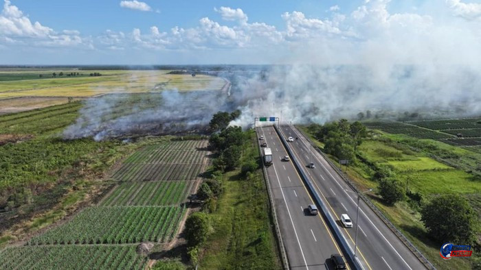 Kebakaran Hutan dan Lahan Meluas di Sumatra Selatan, Lebih dari 60 Hektare Lahan di Ogan Ilir Hangus Terbakar