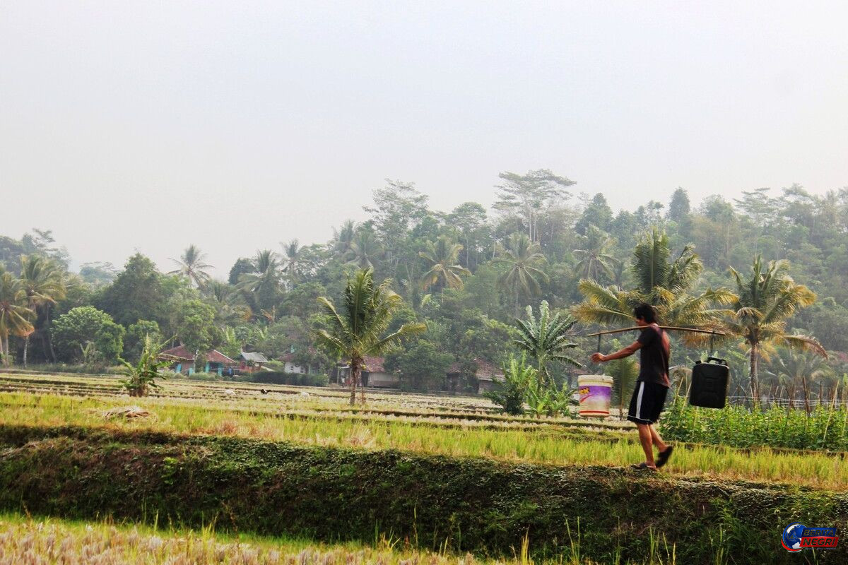 Kemarau Picu Krisis Air Bersih di Cianjur, Warga Rela Rogoh Kocek Rp900 Ribu per Bulan hingga Memilih Pindah Rumah