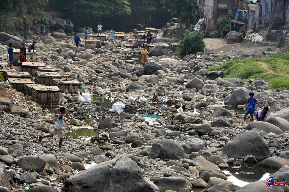 Debit Sungai Ciliwung di Bogor Menyusut Akibat Kemarau, Dasar Sungai Dipenuhi Batuan dan Sampah