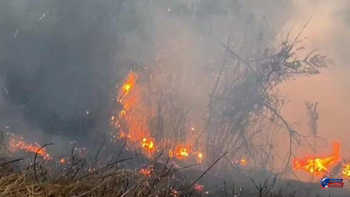 BB TNBTS Tutup Sementara Sebagian Kawasan Wisata Gunung Bromo Akibat Kebakaran Hutan