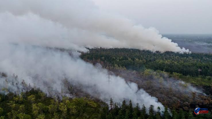 Karhutla Kalimantan Belum Mereda, Ratusan Titik Panas Terdeteksi hingga Asap Capai Malaysia dan Singapura