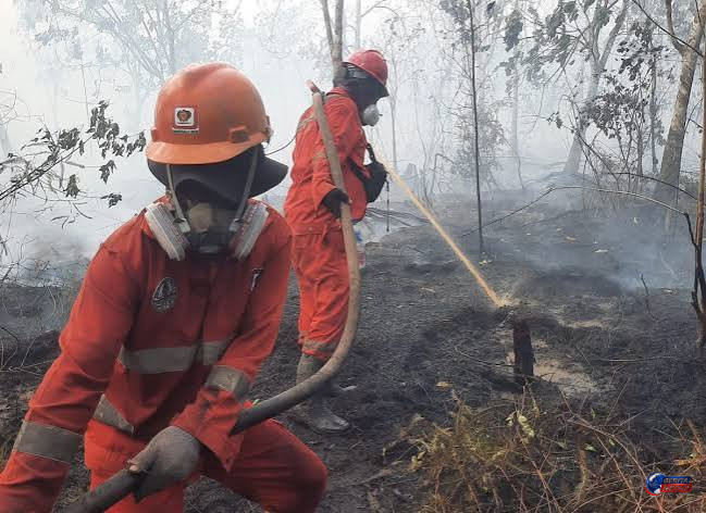 Sumber Air Menyusut, Pemadaman Karhutla di 6 Provinsi Prioritas Hadapi Tantangan Berat