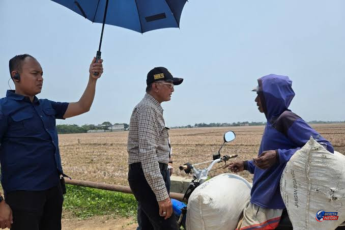 Sawah 1.000 Hektare Kering 7 Bulan, Menteri PU Dody Hanggodo Minta Maaf kepada Petani Bekas